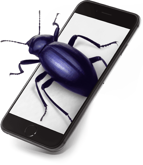 services (phone qa-testing bug)